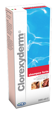 CLOREXYDERM SHAMPOO FORTE 200 ML - farmagiri