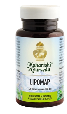 LIPOMAP 120 COMPRESSE - farmagiri