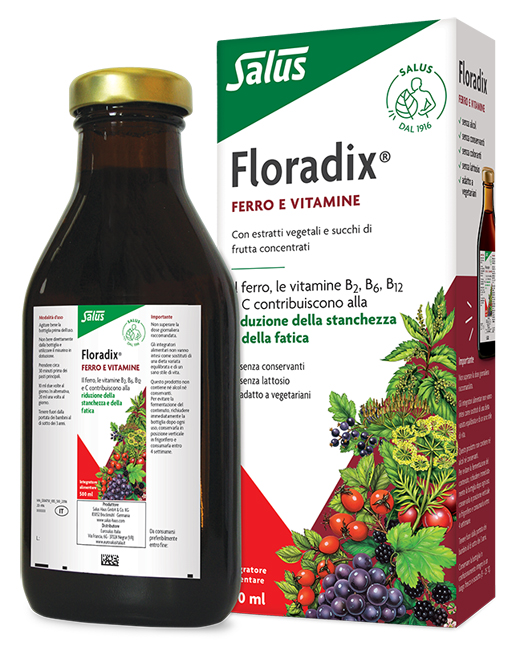 FLORADIX FERRO E VITAMINE 500 ML - farmagiri