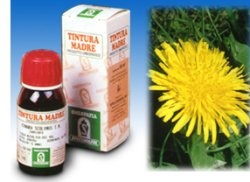 TARASSACO 28 50ML TM - farmagiri