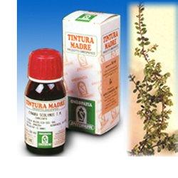 UVA URSINA 30 50ML TM - farmagiri