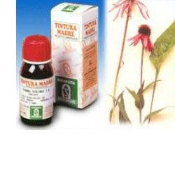 ECHINACEA 59 50ML TM - farmagiri