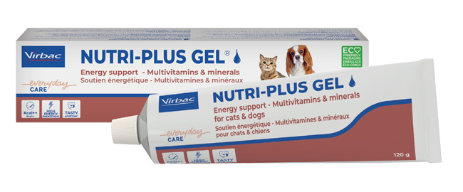 NUTRIPLUS GEL PASTA ORALE 120 G - farmagiri