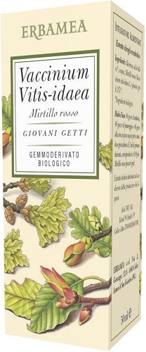 VACCINIUM VITIS IDAEA MIRTILLO ROSSO BIO 50 ML - farmagiri