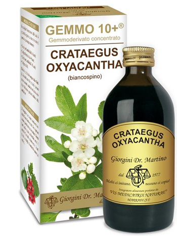 GEMMO 10+ BIANCOSPINO LIQUIDO ANALCOLICO 200 ML - farmagiri