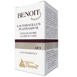 BENOIT LACTOBACILLUS PLANTHARUM 30 CAPSULE - farmagiri