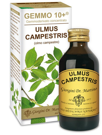 GEMMO 10+ OLMO CAMPESTRE 100 ML LIQUIDO ANALCOLICO - farmagiri