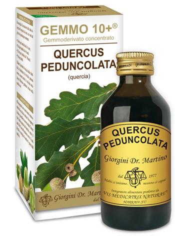 GEMMO 10+ QUERCIA 100 ML LIQUIDO ANALCOLICO - farmagiri