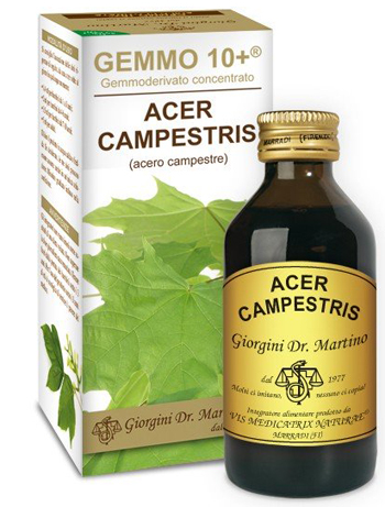 GEMMO 10+ ACERO CAMPESTRE 100 ML LIQUIDO ANALCOLICO - farmagiri