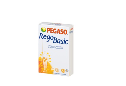 REGOBASIC 12 BUSTINE POLVERE - farmagiri