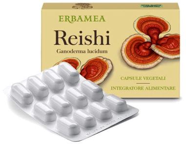 REISHI 24 CAPSULE - farmagiri