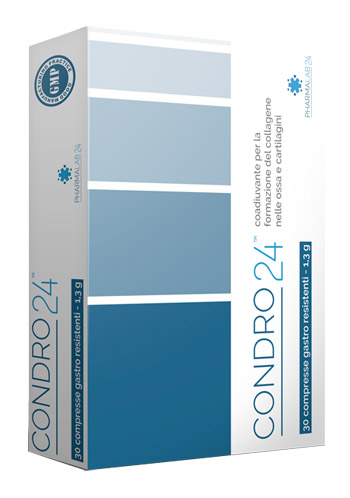CONDRO24 30 COMPRESSE - farmagiri