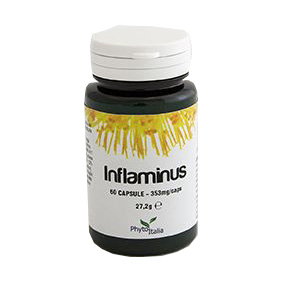 INFLAMINUS 60 CAPSULE - farmagiri
