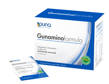 GUNAMINOFORMULA 42 BUSTINE 273 G - farmagiri