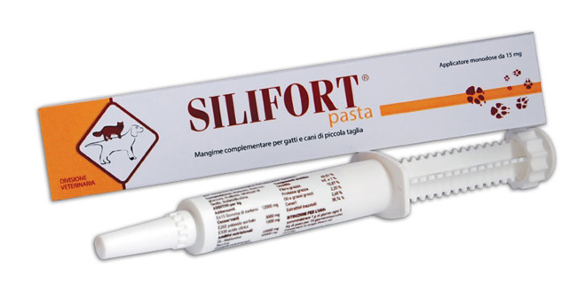 SILIFORT PASTA OS SIRINGA 30 G - farmagiri
