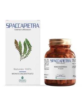 SPACCAPIETRA 50 CAPSULE - farmagiri