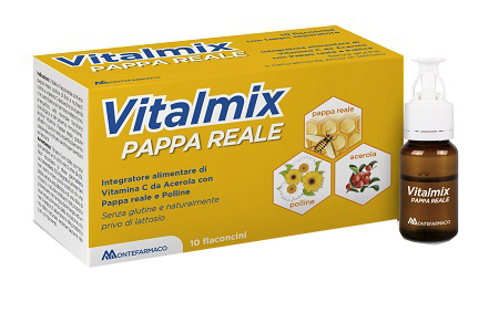VITALMIX PAPPA REALE 10FLACONCINI X10 ML S/GL - farmagiri