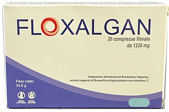 FLOXALGAN 20 COMPRESSE RIVESTITE DA 1,02 G - farmagiri