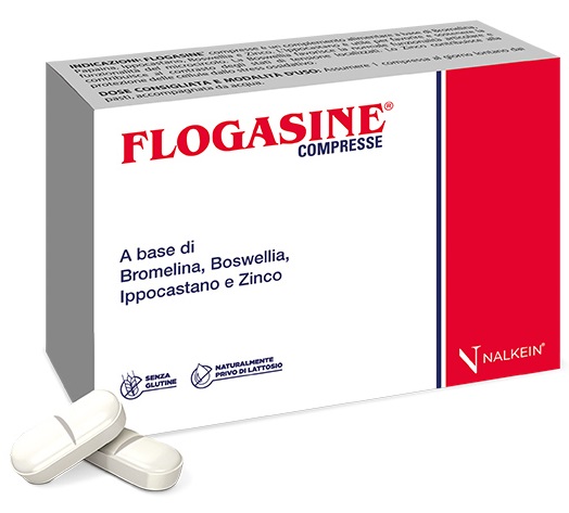 FLOGASINE 20 COMPRESSE - farmagiri
