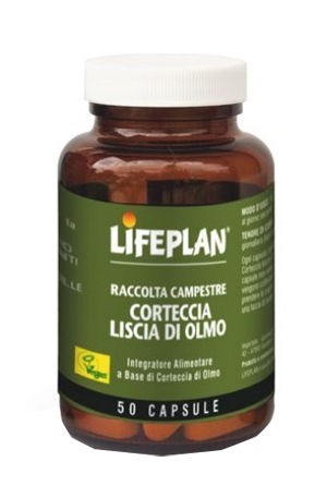 CORTECCIA LISCIA DI OLMO 50 CAPSULE - farmagiri