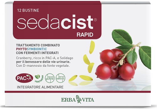 SEDACIST RAPID 6 + 6 BUSTINE - farmagiri