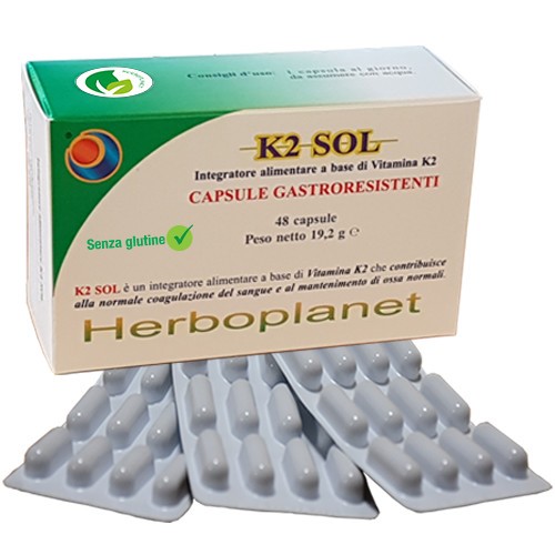 K2 SOL 48 CAPSULE - farmagiri