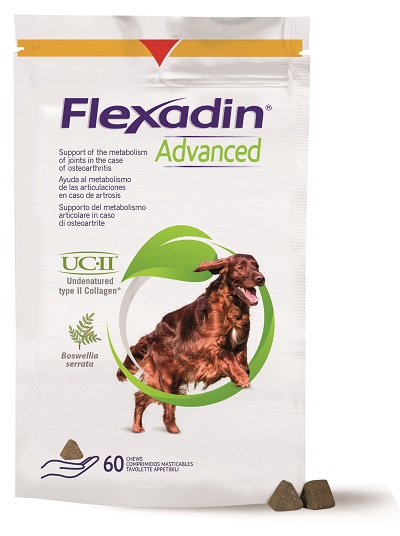 FLEXADIN ADVANCED CANE TUTTE LE TAGLIE 60 TAVOLETTE APPETIBILI - farmagiri