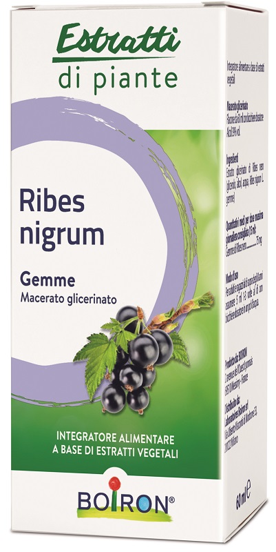 RIBES NIGRUM BOIRON MACERATO GLICERICO 60 ML - farmagiri