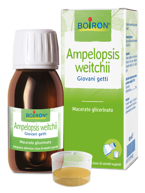 AMPELOPSIS WESTRATTO IDROALCOLICO BOIRON MACERATO GLICERICO 60 ML - farmagiri