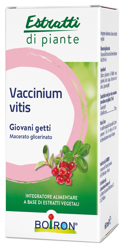 VACCINIUM VITIS MACERATO GLICERICO 60 ML - farmagiri