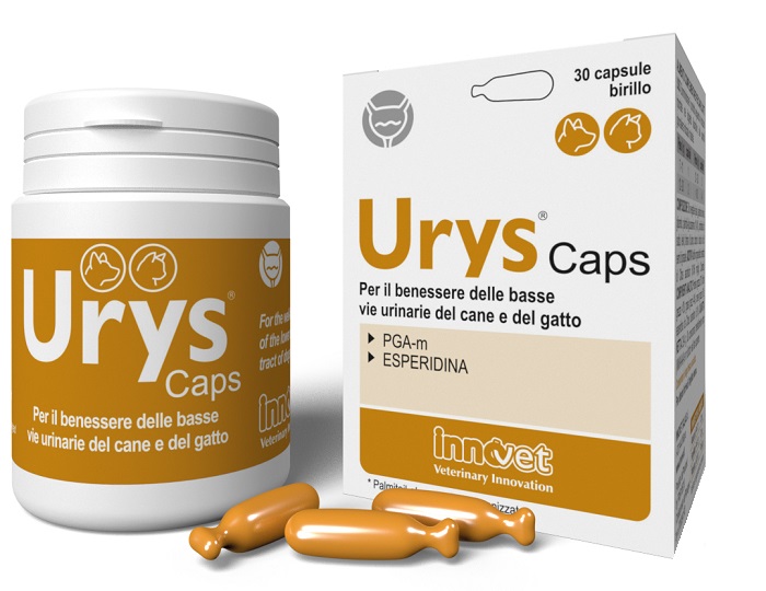 URYS CAPS 30 CAPSULE - farmagiri